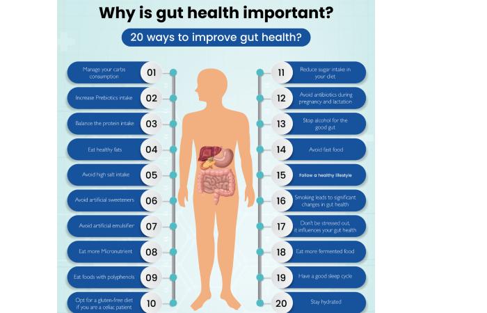 Gut Health Important